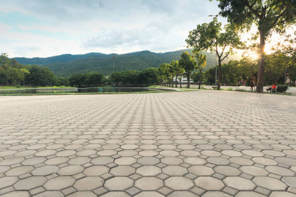 Best Professional Driveway Pavers  in Ten Mile Creek, MD